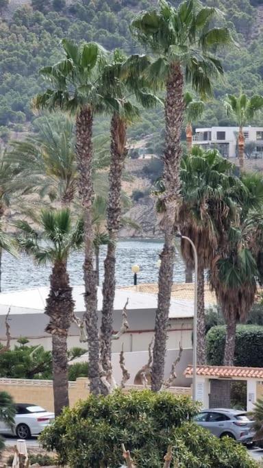 Albir 21 Playa Daire El Albir Dış mekan fotoğraf
